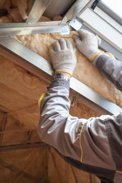 Best Insulation Installation Services in Many, LA
