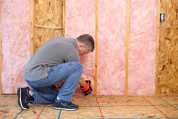 Best Residential Insulation in Many, LA