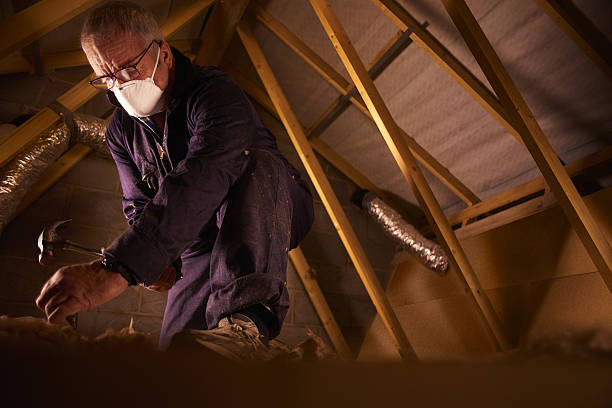 Best Types of Insulation in Many, LA